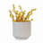 High-quality ceramic flower pots-1727338519