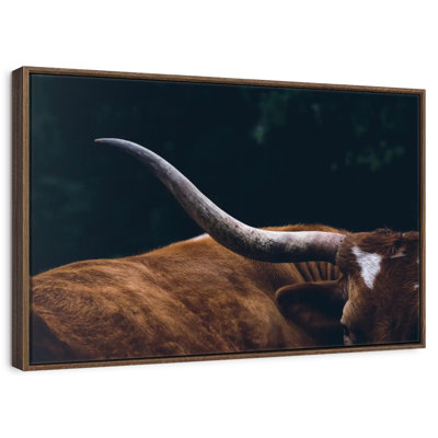 Cow Texas Longhorn