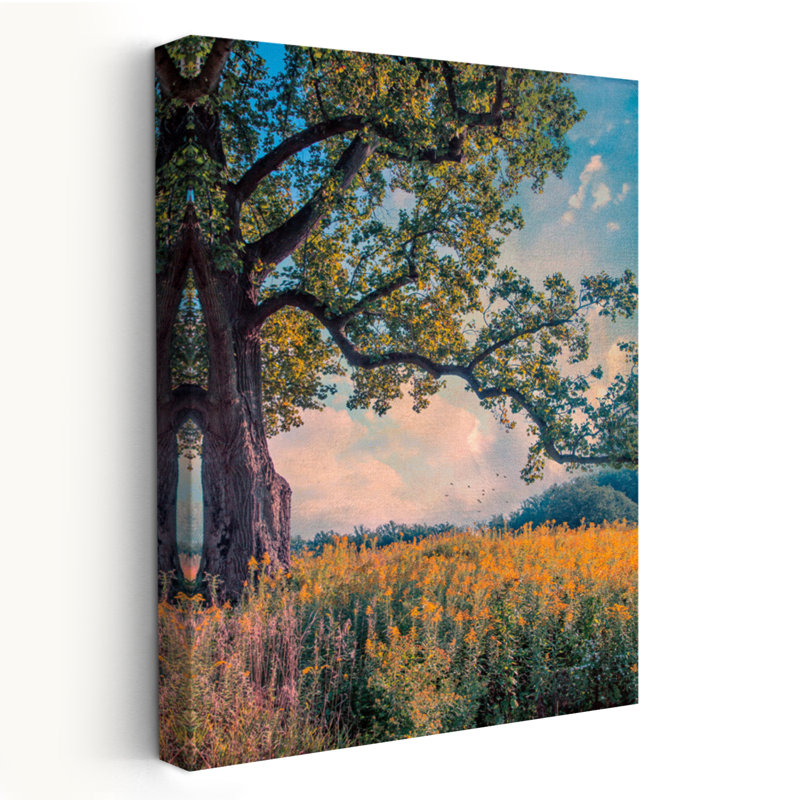 Where I Daydream - Paysages, photographie, arbres, art, H 24 po x l 16 po