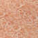 Washable Floral Indoor / Outdoor Rug