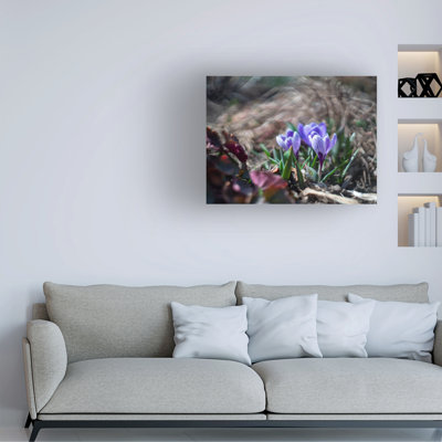 Art sur toile rayé, Suzanne Bonin