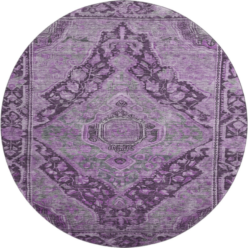 Premium Machine Washable Lucchesi AMF1761 Border Rug, Round 8'