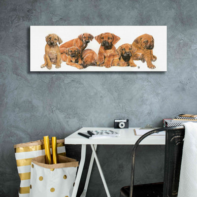 «Rhodisian Ridgeback Puppies» par Barbara Keith, art mural sur toile