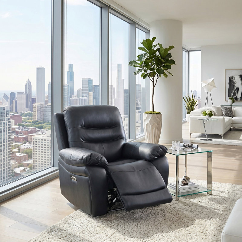 Seranova Dark Breathable Leather&PVC  Reclining Chair With LED Lights
