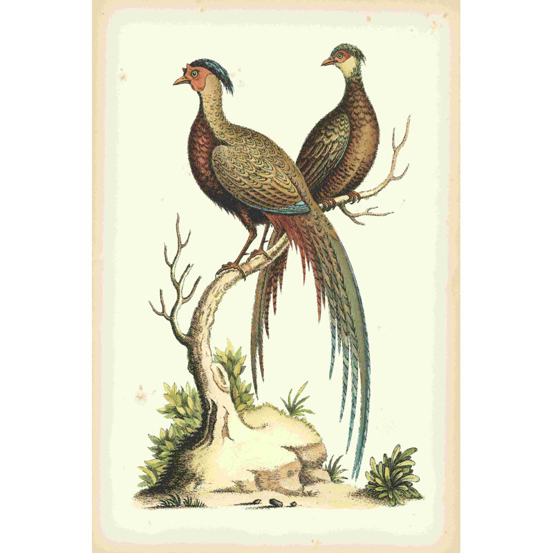 Regal Pheasants II, H 30 po x l 20 po