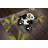 Caire Indoor Rug