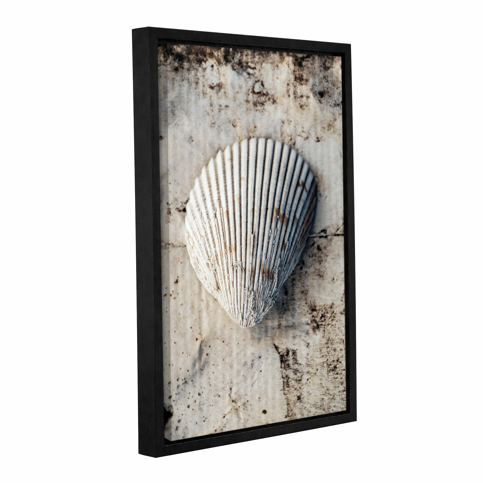 Highland Dunes 'Seashells I' Framed Photographic Print on Wrapped ...