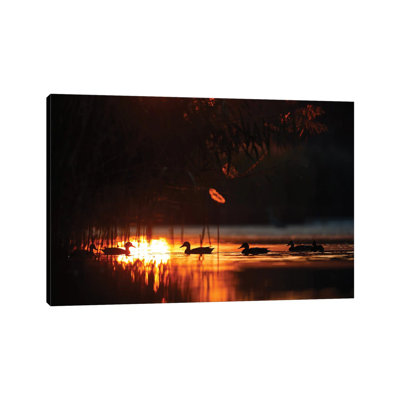 Ducks At Sunrise by Mateusz Piesiak - Wrapped Canvas Print