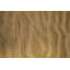 Hand-Knotted High-Quality Gold Area Rug