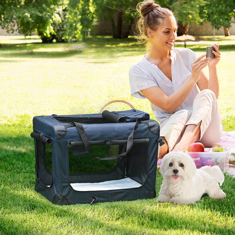 Sabina Collapsible Pet Carrier with 3 Doors, Small