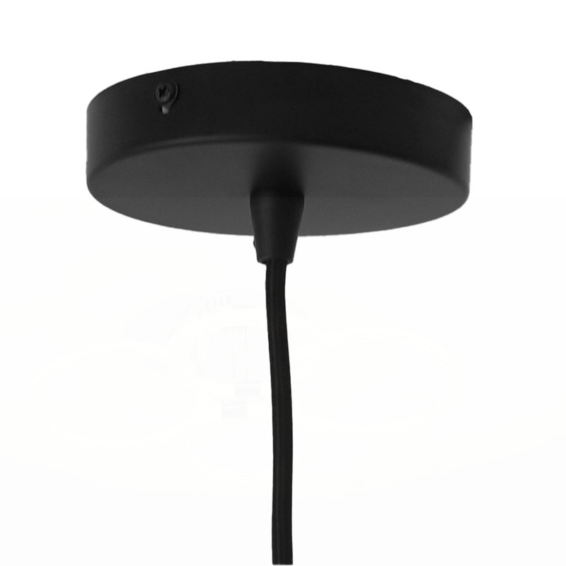 Exquisite Pendant Lamp with Stylish Design for Versatile Room Decoration
