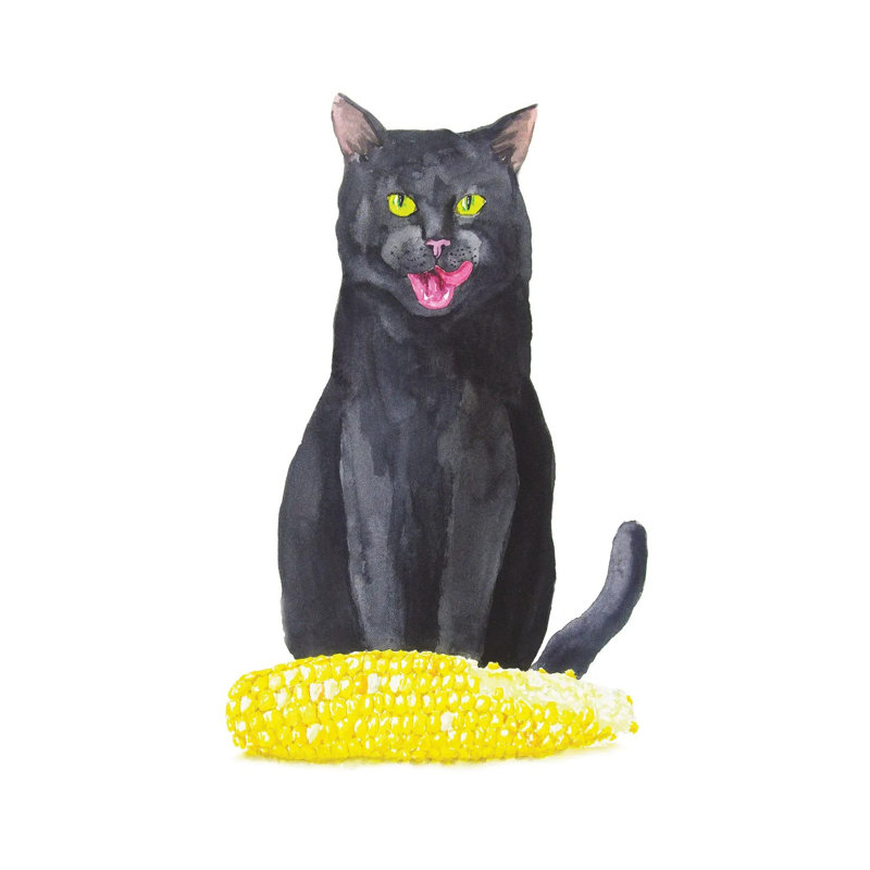 Black Cat And Corn by Alexey Dmitrievich Shmyrov - Wrapped Canvas Painting, 20.32 cm H x 30.48 cm W