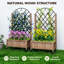 Raised Garden Bed-1696203458