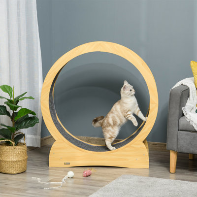Freda 95 cm H Cat Scratchers