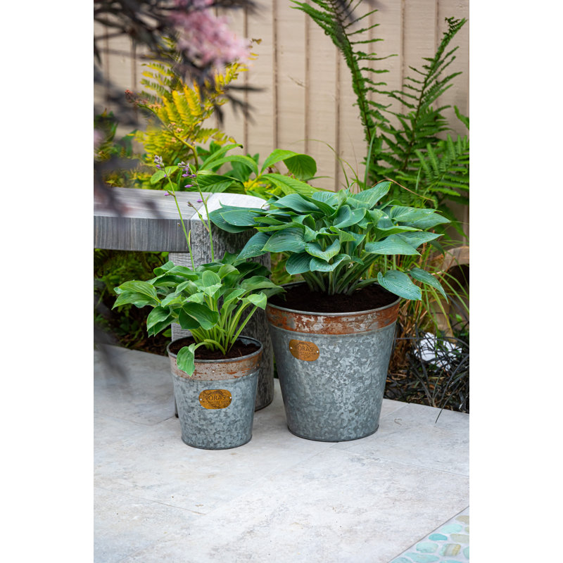 Cassandra Metal Cachepot, 50cm H x 50cm W x 50cm D