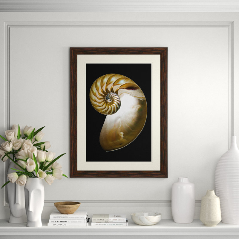 Large Shell 1 Print