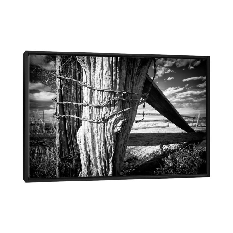 «Hold Strong» par Dan Ballard, reproduction de photo sur toile, H 18 po x l 26 po x P 1,5 po, Toile avec cadre noir