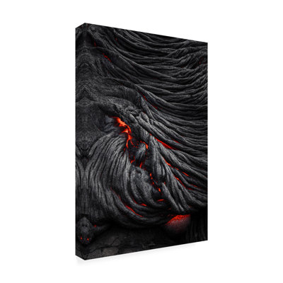 Jerrywangqian   Devils Eye Canvas Art