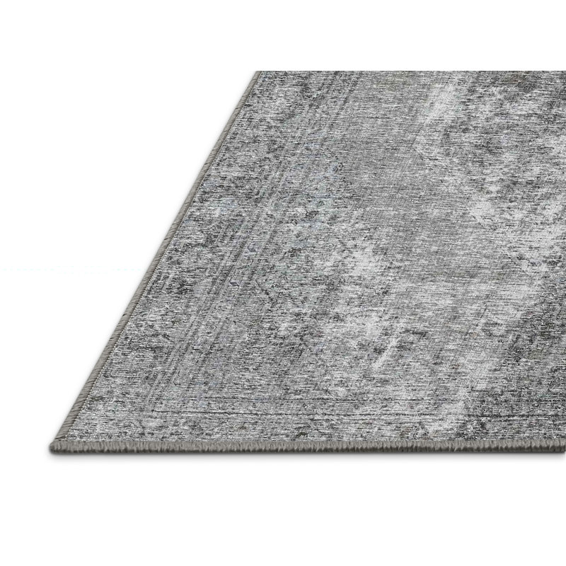 Aizaiah Oriental Indoor Rug, Rectangle 2' x 4'