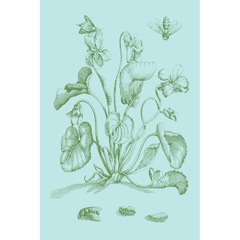 Spring Cyclamen II - Wrapped Canvas Art Prints, 46cm H x 30cm W x 3.8cm D
