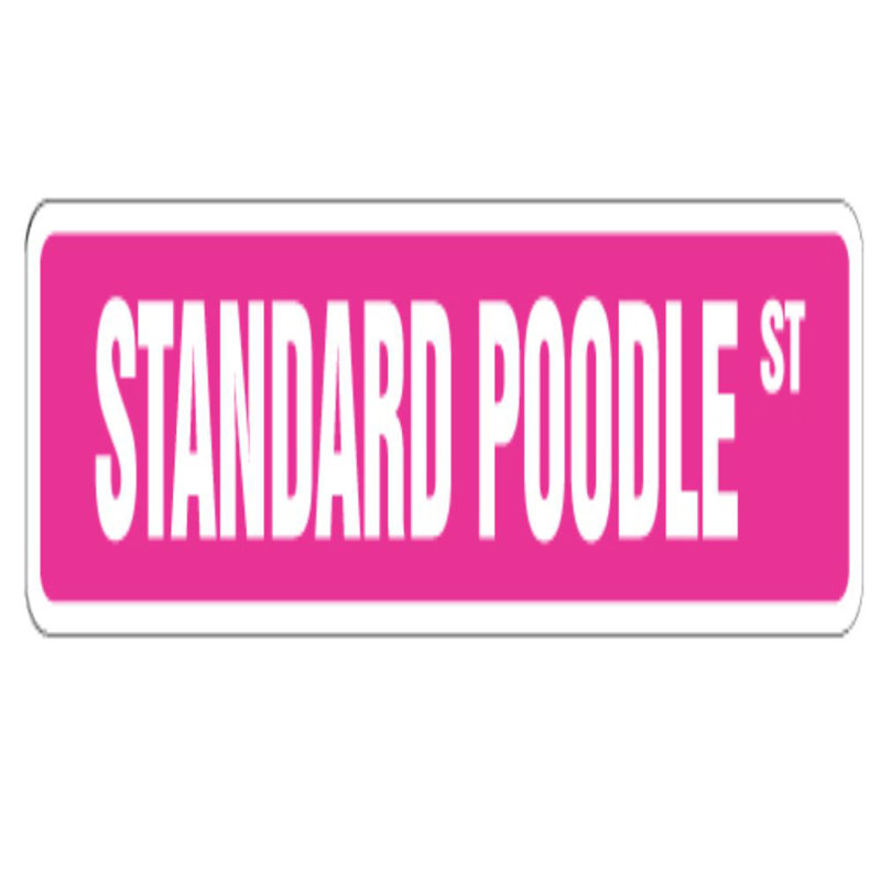 Chien caniche standard