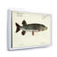 Portrait d'un poisson vert dans l'eau - peinture sur toile-59814432-59814438