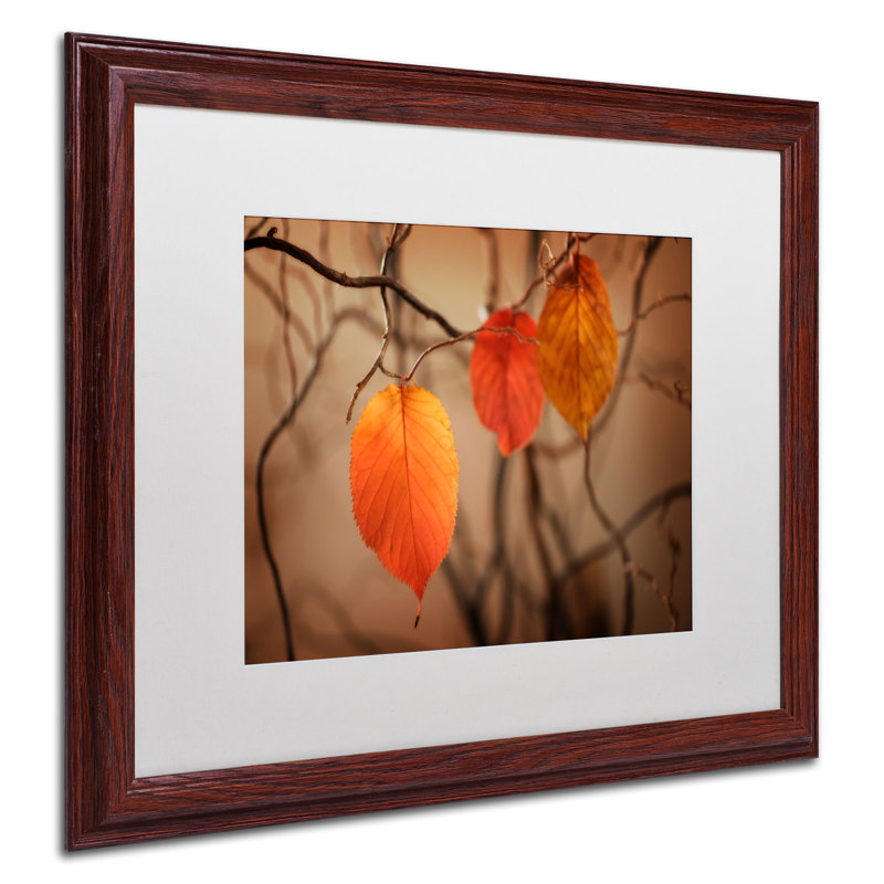 «Leaves After Leaves», reproduction de photo sur toile mate, H 16 po x l 20 po x P 0,5 po