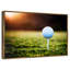 Té de balle de golf-288815827-288815824