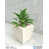 Beige Ancien Monde