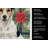 Parson Russell Terrier Christmas PoinsettIas Kitchen Towel-2080584086