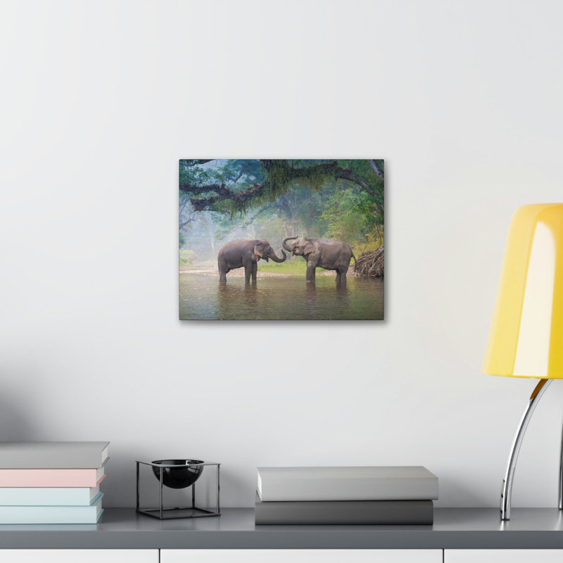 No Frame Print on Canvas, 30.48cm H x 40.64cm W