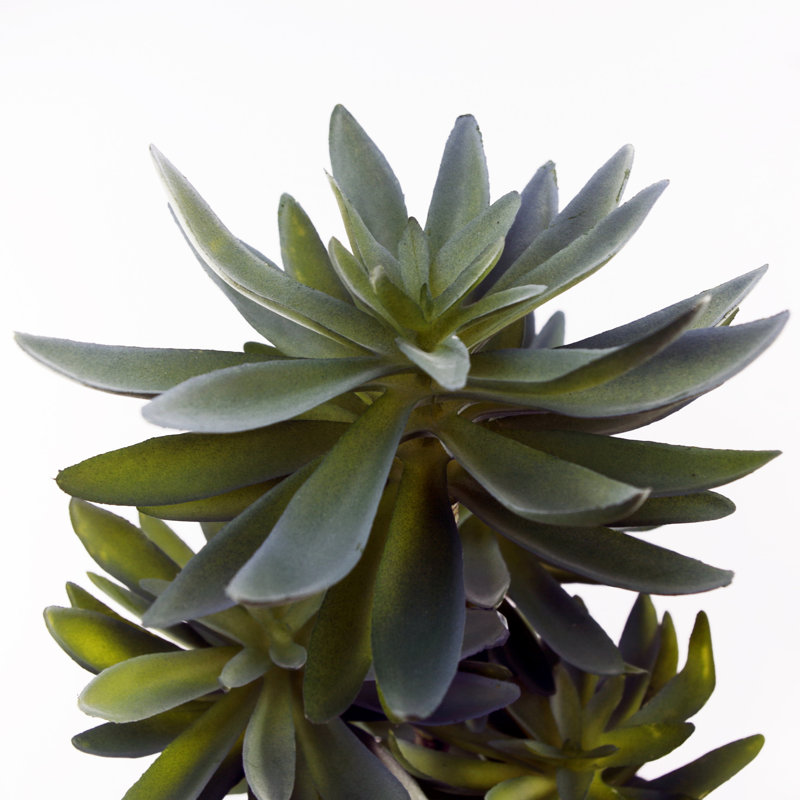 Annistyn 60cm Faux Yucca Tree in Pot