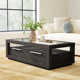Santiago Coffee Table with Storage