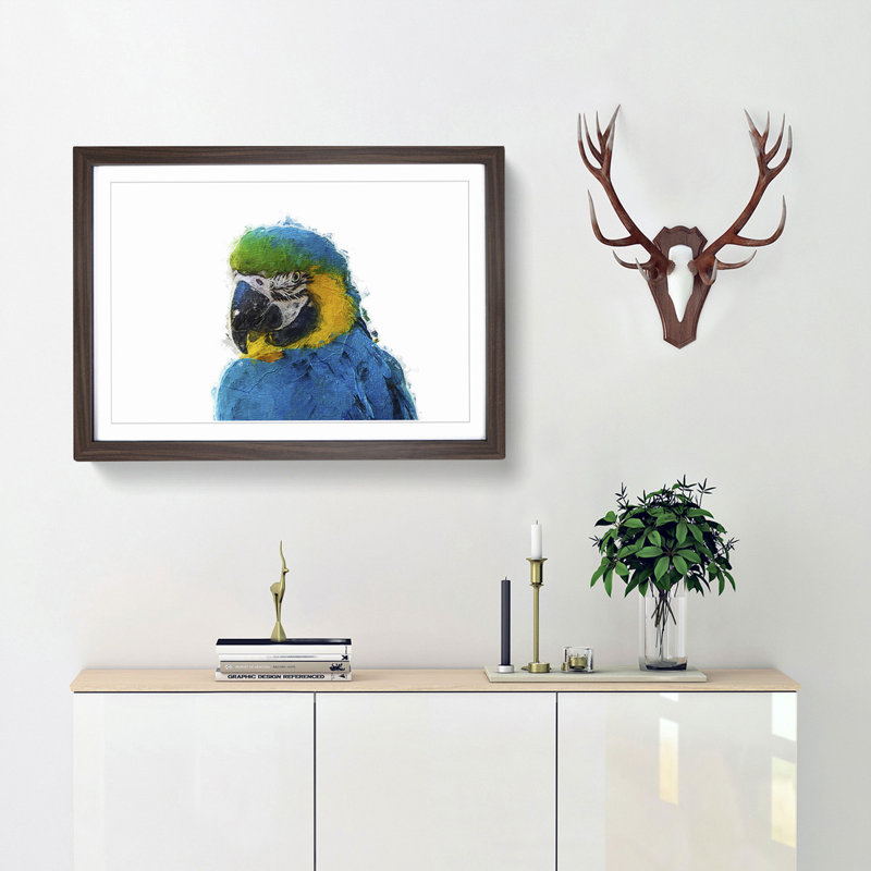 Macaw Parrot - Framed Print, 27cm H x 36cm W x 2cm D, Walnut Framed
