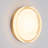 LED Dimple Flush Mounted Sconce, Dimmable Glass Vanity Light