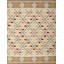 Southwestern Area Rug in Beige