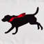 Coussin Eddie Bauer