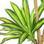 Arbre Dracaena artificiel 72 po en pot
