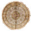Silk Oriental Area Rug