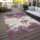  Machine Washable Indoor/Outdoor Chayden ACN1027 Black Rug