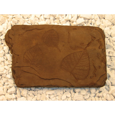 Tremplin fossile