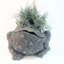 Pot à fleurs statue "Toad Hollow" Classic-1485330523