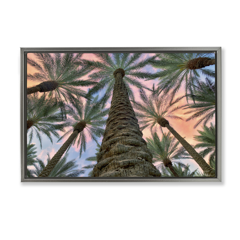 «Tall Overhead Palms», toile flottante encadrée par Dennis Frates, Cadre flottant gris lustré, H 21 po x l 31 po