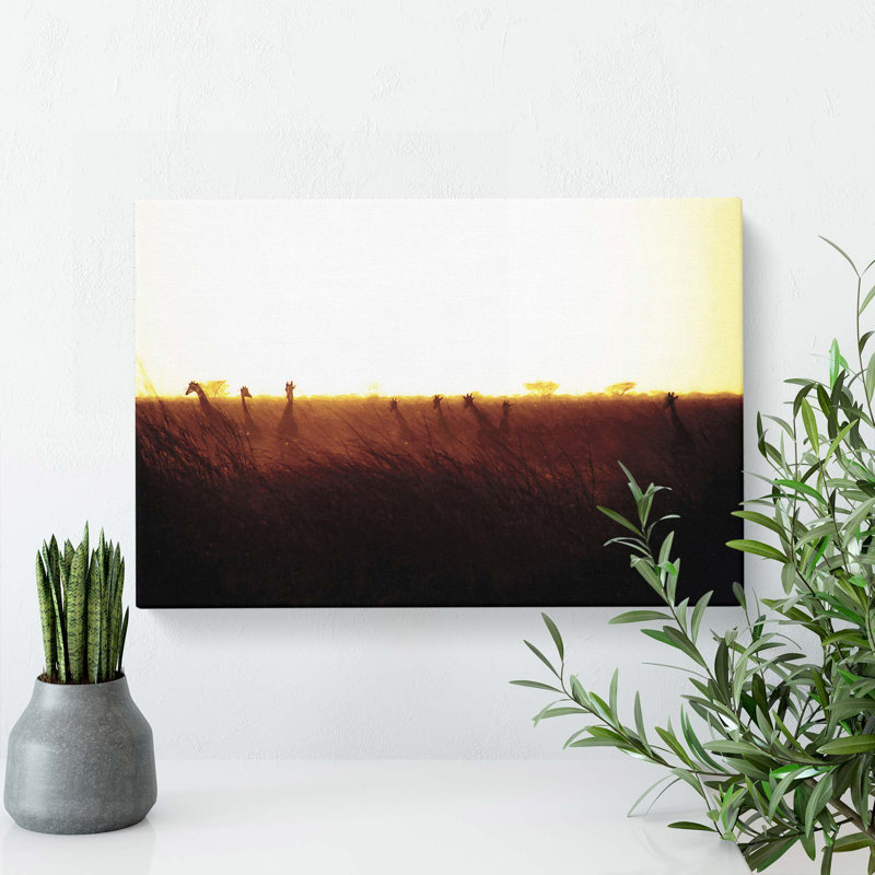 Giraffes at Sunset - Wrapped Canvas, 50cm H x 76cm W x 3cm D