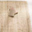 Buse Jute / Sisal Hand Woven Area Rug-1984467917
