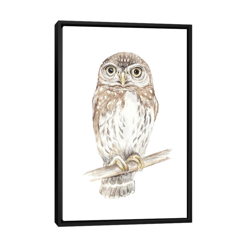 « northern pygmy hibou », impression sur toile, H 26 po x l 18 po x P 1,5 po, Toile avec cadre noir, Pas de tapis