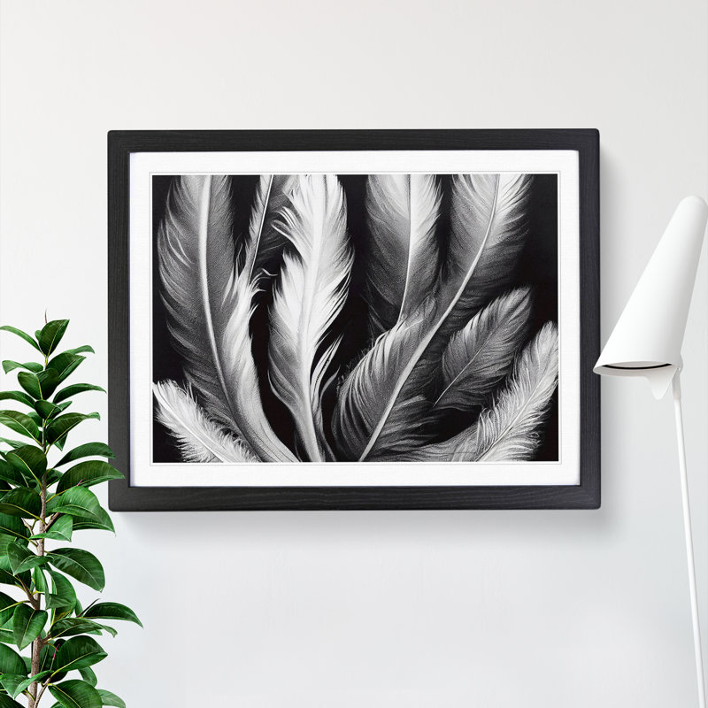 Inconceivable Bird Feathers - Single Picture Frame Print, Black, 25cm H x 34cm W x 2cm D