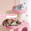 158cm  Cat Tree-704301786