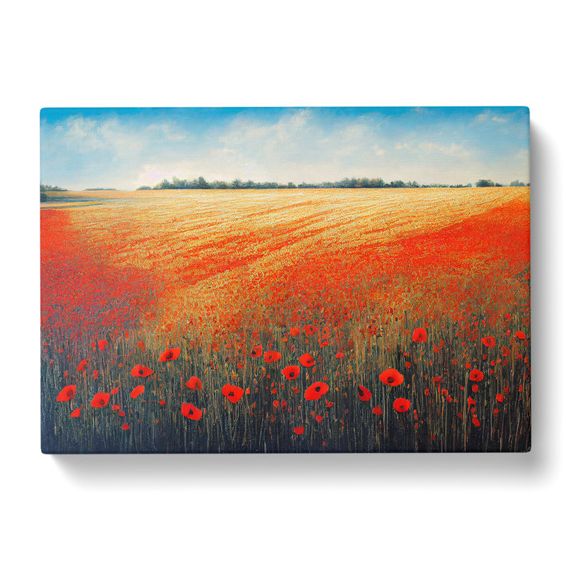 Magnificent Poppy Field Flowers - Wrapped Canvas, 35cm H x 50cm W x 3cm D