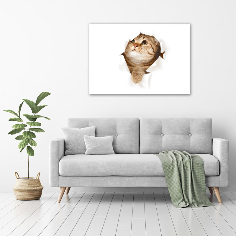 Cat - No Frame Print on Glass